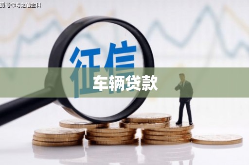 龙州车辆贷款