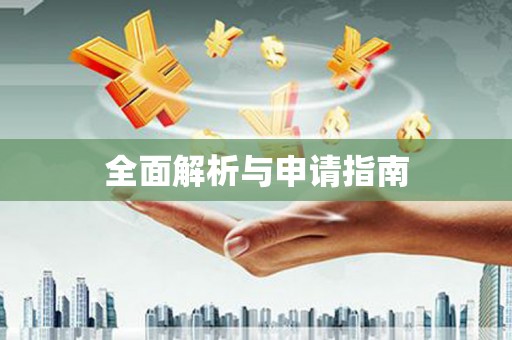 龙州全面解析与申请指南