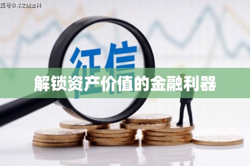 龙州解锁资产价值的金融利器