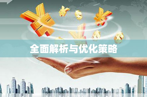 龙州全面解析与优化策略